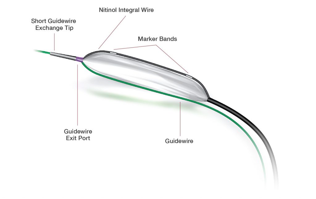 IBT Integrated Business Trade -Sapphire II PRO OrbusNeich coronary balloon catheters in Egypt 125